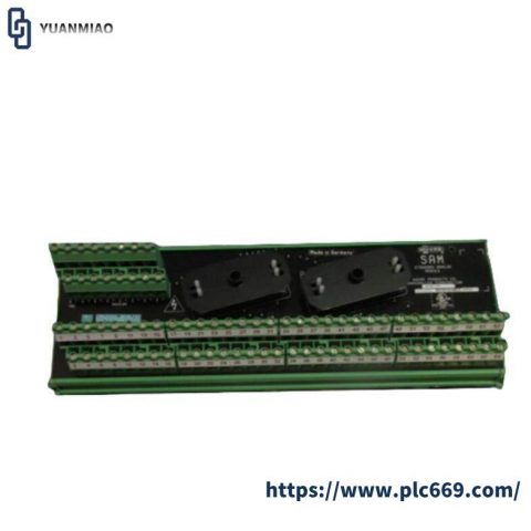 Moore 16169-1-07 SAM: Industrial Analog Module for Precision Control