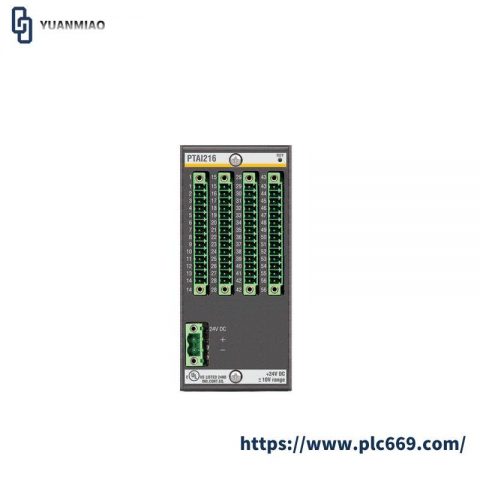 Bachmann PTAI216 Temperature Recording Module