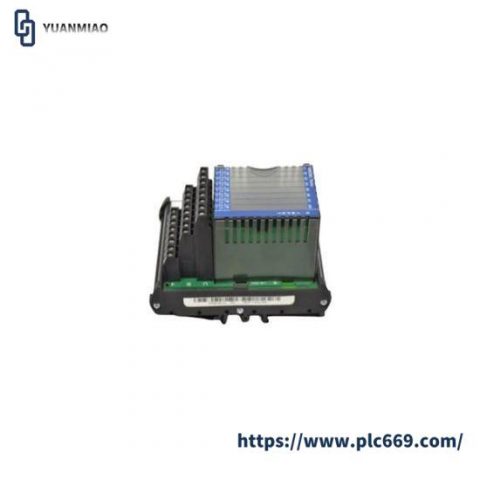 FOXBORO P0800DV Industrial Control Module