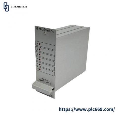 Mita-Teknik CS 51 Industrial Controller, Model CS 51, Control Module