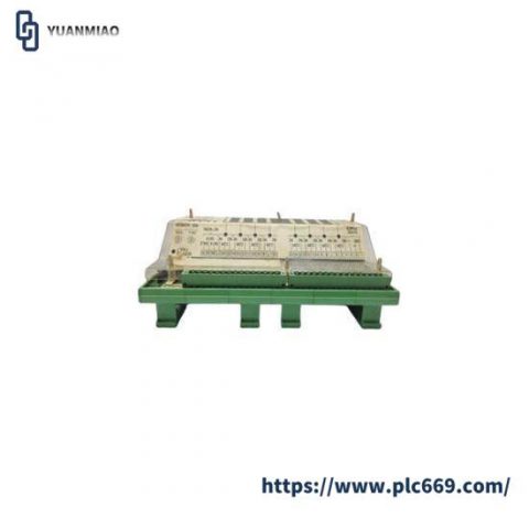 Woodward 9905-973 Custom Processing Module