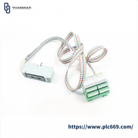 FOXBORO P0500SR - High-Performance Termination Cable Assembly