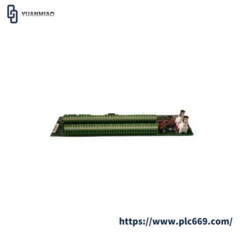 GE-FANUC DS200PTBAG1ABA Circuit Board