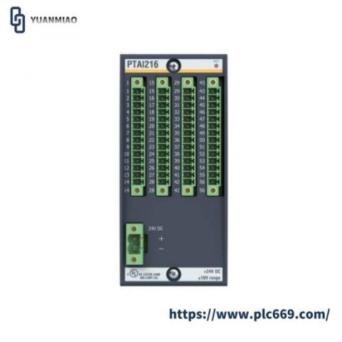 BACHMANN PTAI216: Precision Temperature Input Module, High Accuracy & Reliability